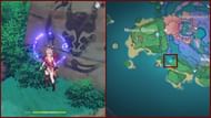 The fifth location of Rinzou's treasure on the map (Image via Genshin Impact)